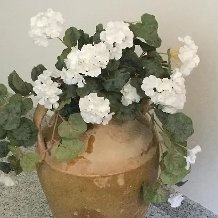 Bed & Breakfast Dimora Gentile 3*